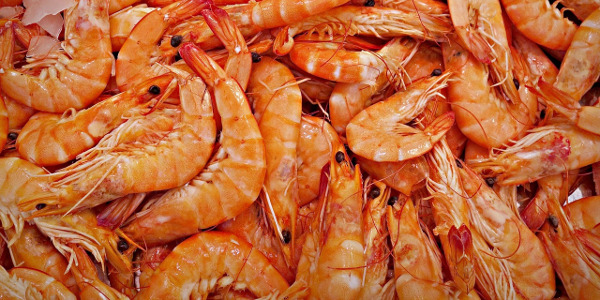 Crevettes