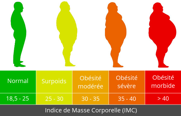 Tableau indiquant l'état de surpoids ou d'obésité selon l'IMC