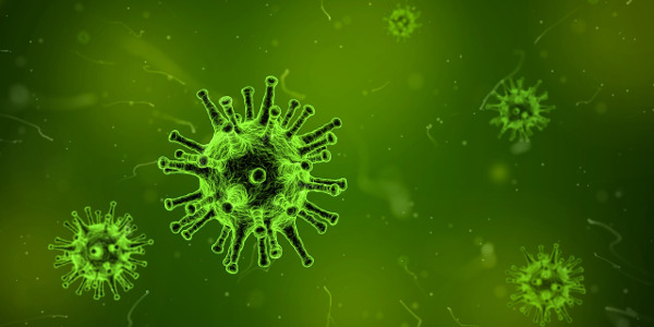 Image de synthèse d'un virus